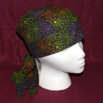 RainbowSpiderwebs.jpg (50813 bytes)